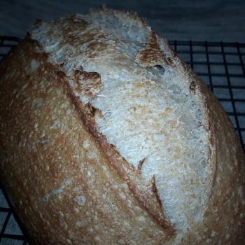 50/50 BF/WW recipe