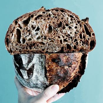 Abraham Chocolate / cacao / cranberry sourdough first overview