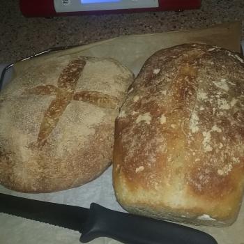 Agador Spartacus Variety second slice