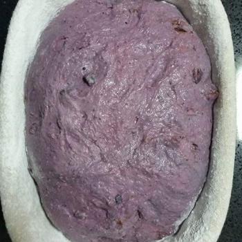 Ah Huat Purple carrot fruity loaf first overview