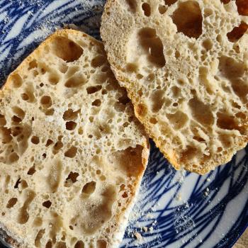 Alice Sourdough ciabatta first overview