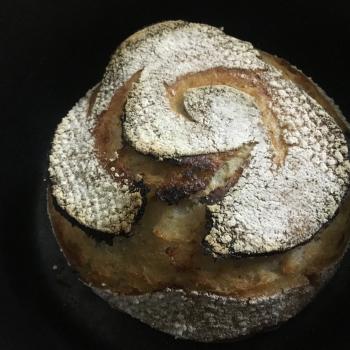 Ancient Sourdough loaves and pizza second overview