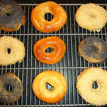 Andrew's rye culture Sourdough bagels first overview