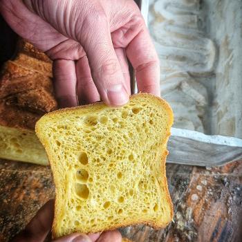 Apis - bee sourdough Muka Bread first slice
