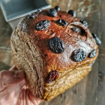 Apis - bee sourdough Żulik first slice