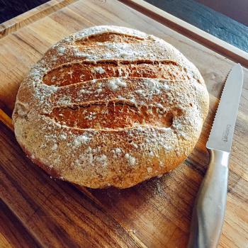 Apollonius Whole Wheat Bread first overview