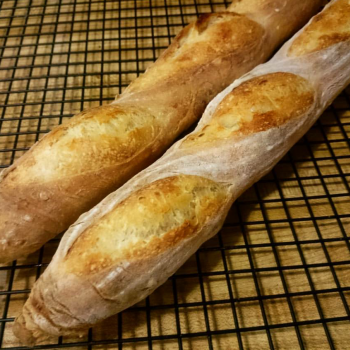 Audrey Junior Baguettes first overview
