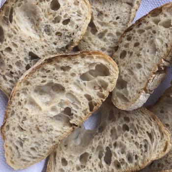 August Ciabatta first overview