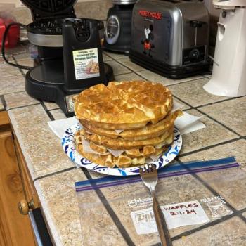 Aunt Jo’s Dough waffles first overview