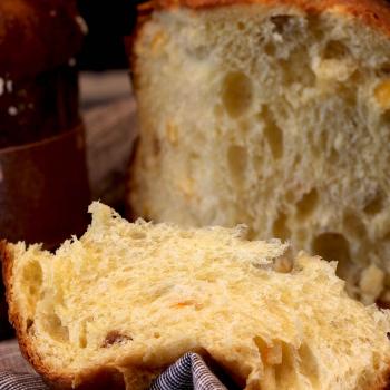 Autumn Panettone, durum wheat sourdough, spelt sourdough, durum wheat sourdough first overview