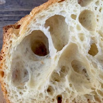 Autumn Sandwich bread, ciabatta, carob cheese sourdough, semolina sourdough second slice