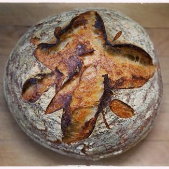 Aylishka Sourdough boule second overview