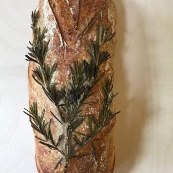 Baby's Bread Breads first overview