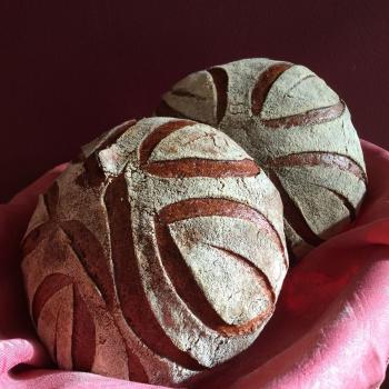 Baby's Bread Breads second overview