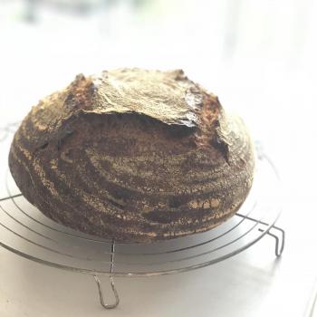 Barbara Kamut breads second overview