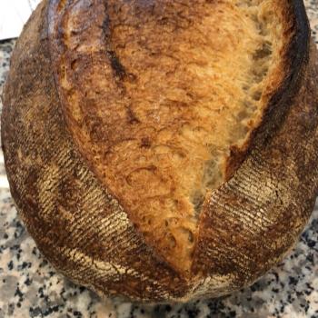 Barbara Kamut breads second slice