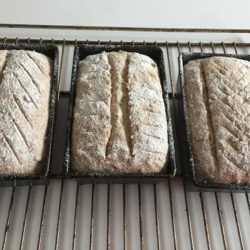 Barbara Whole wheat breads first slice