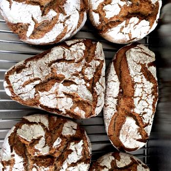 Beesee Different breads second overview