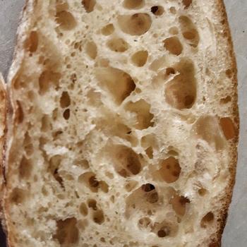 Behemoth i have no waist so i only make bread with my levain second overview