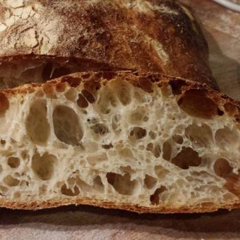 Behemoth i have no waist so i only make bread with my levain first slice