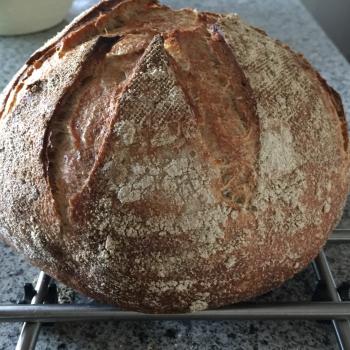 Betty Boop Sourdough breads and sourdough pizza second overview