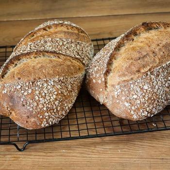 blondie wheat bread second overview