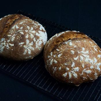 blondie wheat bread second slice