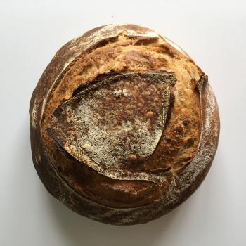 Borneo Starter Breads, Pizza, Babka, Morning Buns first overview