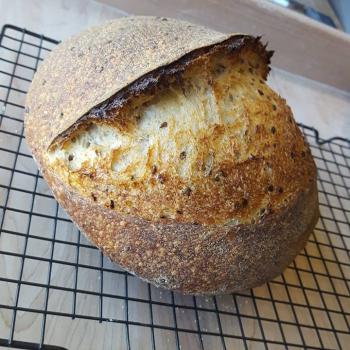 Bowie Teresa's Mill Grain loaves second overview
