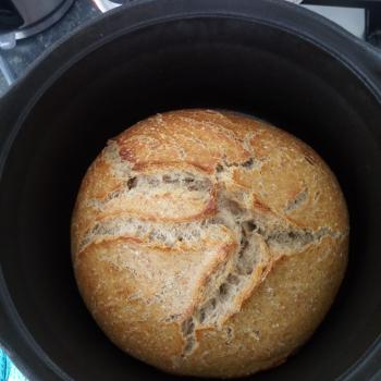 Brooderhood community bread second slice
