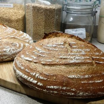Bubbles emmer/einkorn first overview