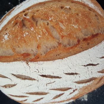 Bublé Basic sourdough batard first overview