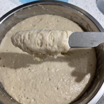 Bublee Sourdough Waffles first overview