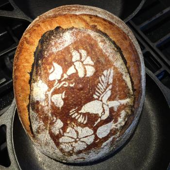 Buddy Sourdough and pancakes first overview