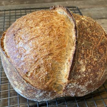 Bum Bum Sourdough Bread first overview