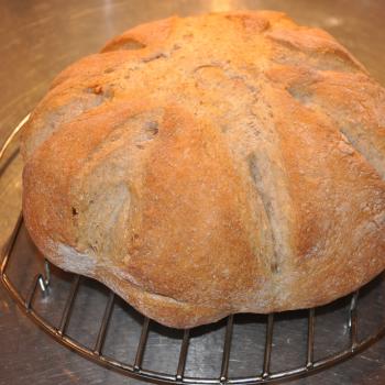 Canoe Creek Sourdough Bread second overview