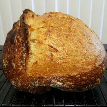 Charles  Tartine Style Country Sourdough  second overview