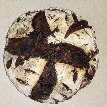 Clarice Dark Chocolate Cherry Sourdough Bread first overview