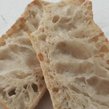 Conchita Ciabattas with Firm Sourdough first overview