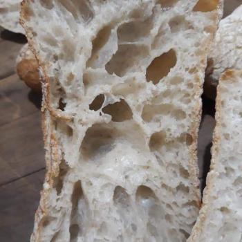 Conchita Ciabattas with Firm Sourdough first slice