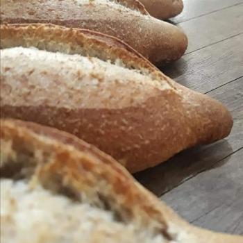 Conchita Whole wheat Bolillo Sourdough first overview
