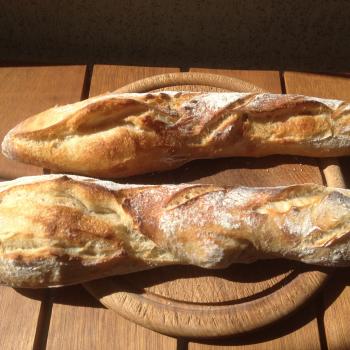 Curitiba 16 baguette first overview