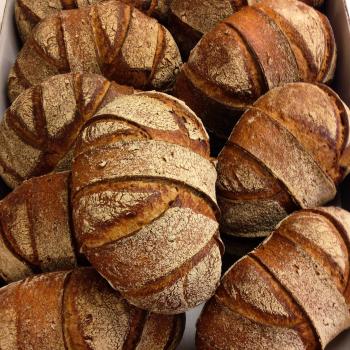 Dagmar Sourdough bread first overview