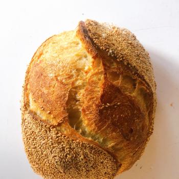 Doughvid-19 Sesame Sourdough Batard second overview