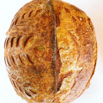 Doughvid-19 White Sourdough Batard second overview