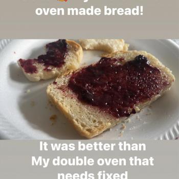 ElsieDart first slice