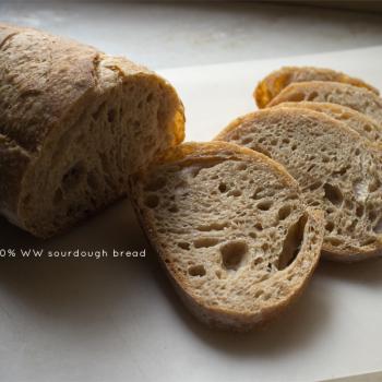 Enzo the Third Normandy Apple bread, 50% whole wheat batard, walnut-cranberry sourdough, olive sourdough bread second overview