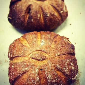 Fadougou ( Named after the Village where i am working) Pumpkin bread first slice
