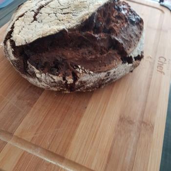 Fievel Chocolate Sourdough  second overview