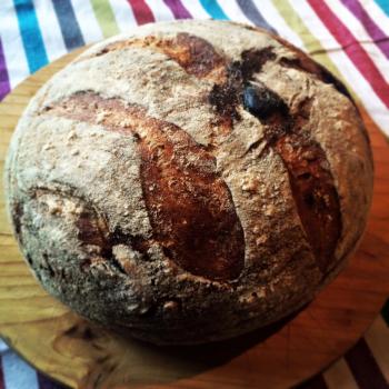 Fig & Fennel Sourdough Bread, pancakes, yorkshire pudding, quick breads first overview